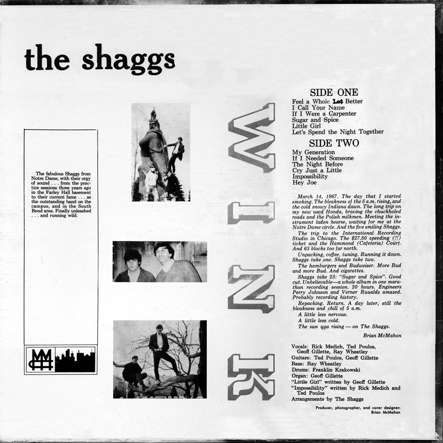shaggs LP wink resurrection back cover
