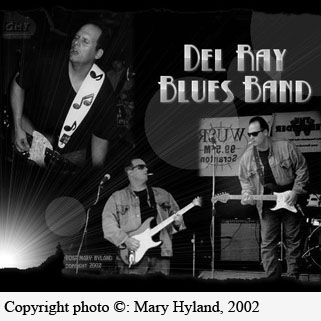 delray bluesband picture