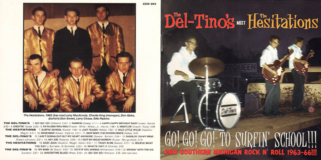 del tino's hesitations cd go go go to surfin'school cover out