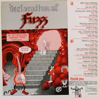 seen lp red declaration of fuzz back cover
