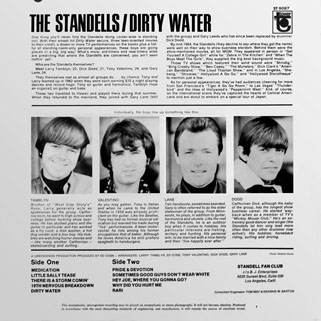 standells lp dirty water tower stereo back cover
