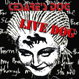 cesare's dog cd live dog front