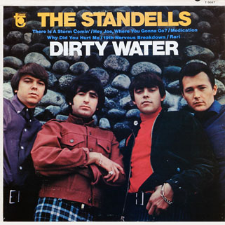 standells lp dirty water tower mono front