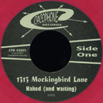 1313 mockinbird lane single naked_backwash beach label 1