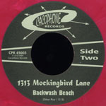 1313 mockinbird lane single naked_backwash beach label 2