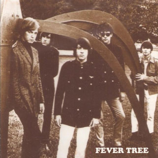 fever tree picture