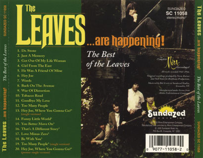 leaves cd leaves are happening tray