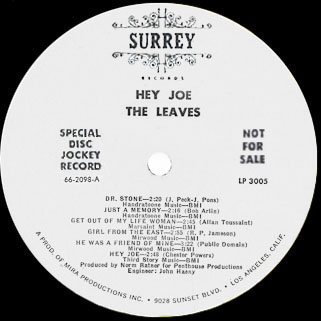 leaves lp  hey joe surrey promo label A