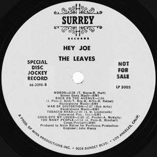 leaves hey joe  lp surrey promo label B