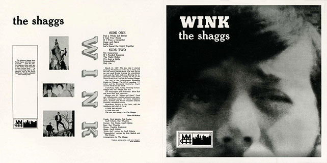 shaggs CD wink cover out