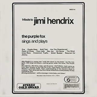 purple fox tribute to jimi hendrix discofam brasil back