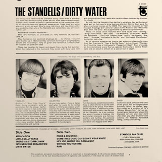 standells lp dirty water tower mono back cover